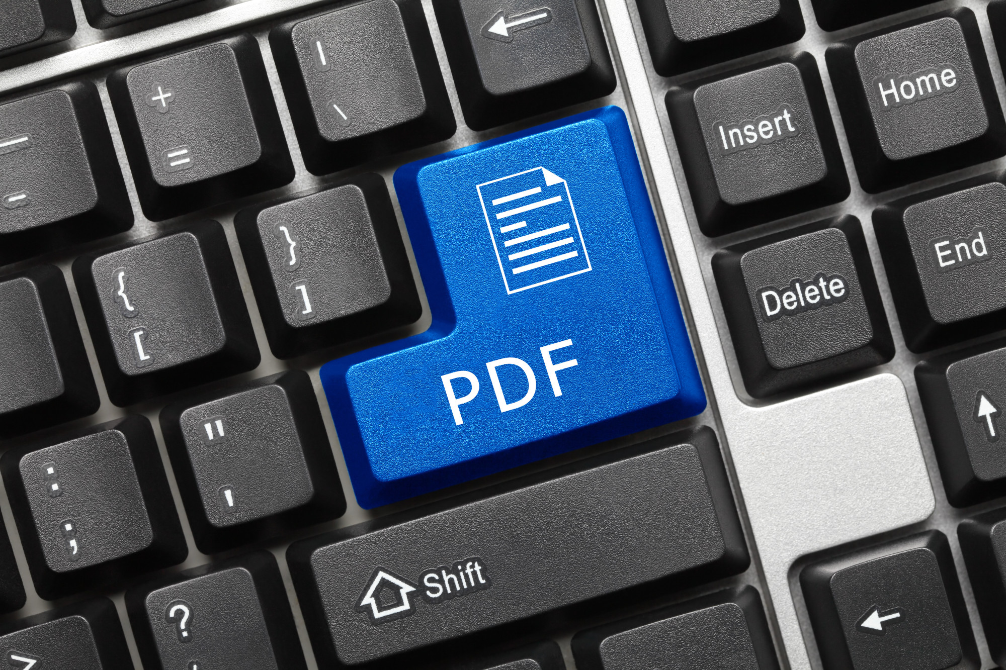 pdf professional